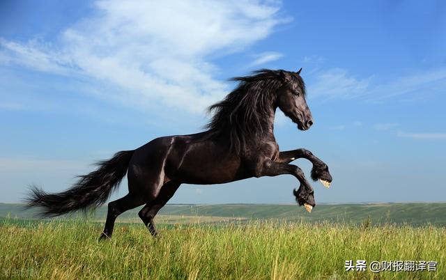 汽车配件供应商（为全球前10大车企 供应新能源汽车核心部件的龙头）(4)