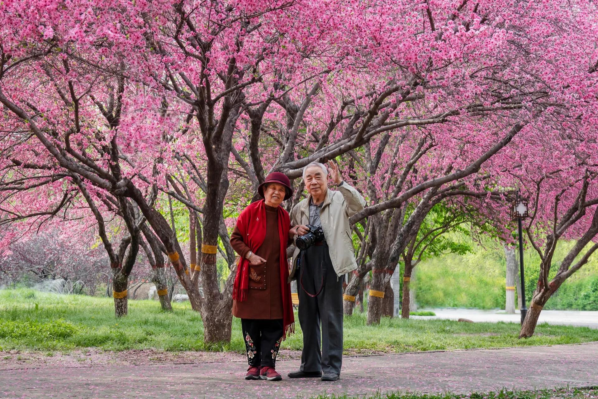 父母离婚子女应该什么态度（父母要离婚我该怎么做）(图2)