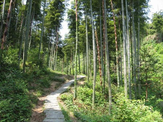 贵阳游玩露营攻略（贵阳周边户外登山露营徒步最佳地点推荐）(52)