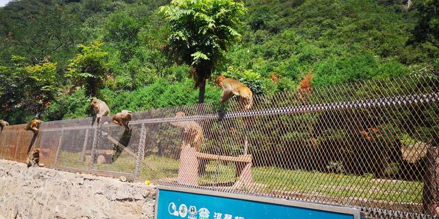 郑州云台山二日游攻略（河南云台山二日游攻略）(21)