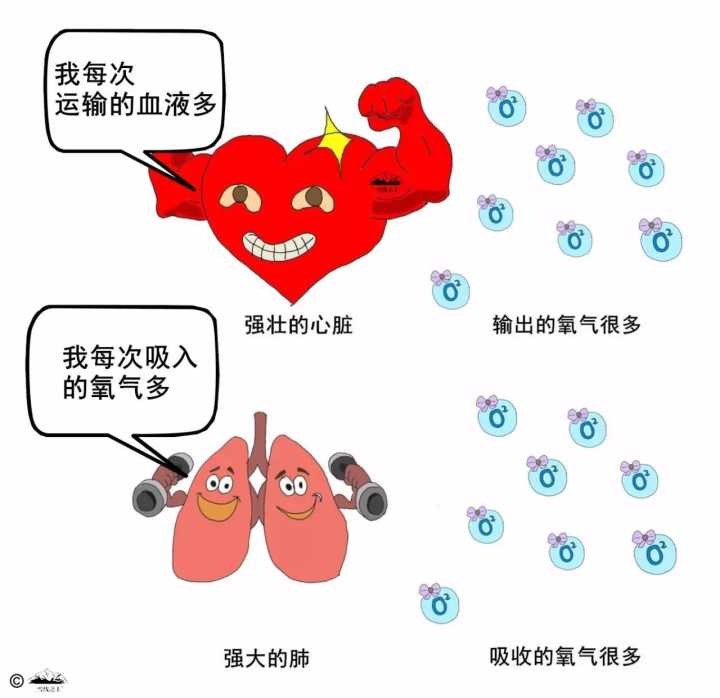 跳绳能减肥肚子吗（世界公认减肥快速运动之一）(图2)