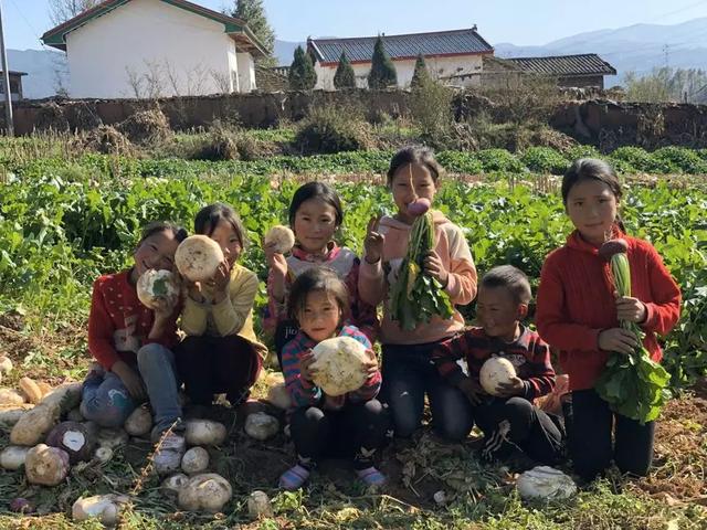 贵州悬崖第一村（现存70座土房的悬崖村）(4)