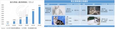 ​从月入五万到破产，猫舍怎么干不动了？