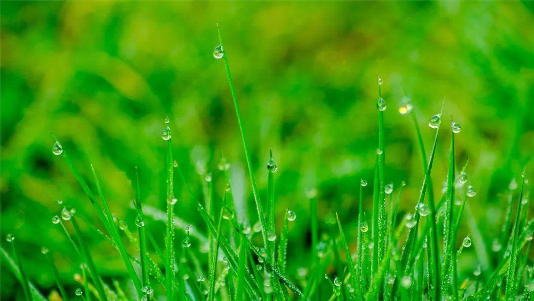 好雨知时节运用了什么修辞手法？好雨知时节当春乃发生雨的特点