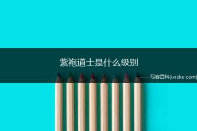 ​紫袍道士是什么级别（紫袍道士是什么级别 道教道袍传承有序从未断代）