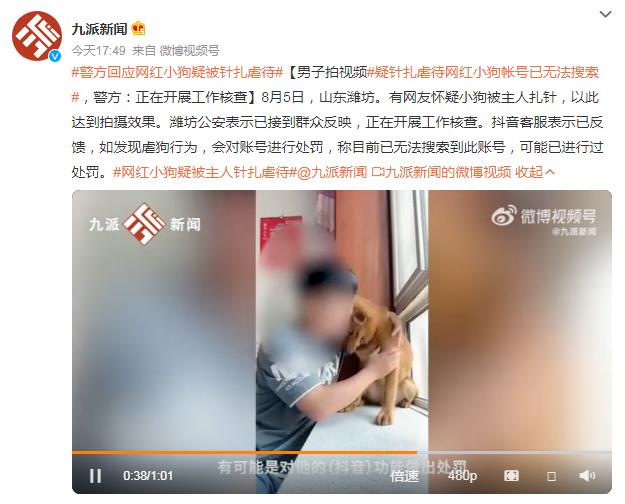 网红小狗主人否认（网红小狗遭主人扎针虐待）(9)