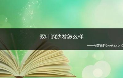 ​双叶的沙发怎么样(双叶沙发怎么样双叶的沙发质量)