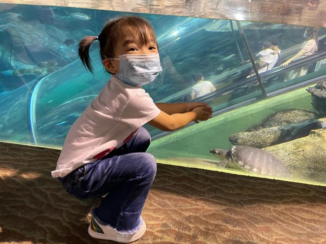 上海海洋水族馆购票攻略（上海海洋水族馆超详细游玩攻略）(4)