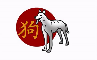 ​高加索为什么没人养 高加索犬幼犬多少钱一只