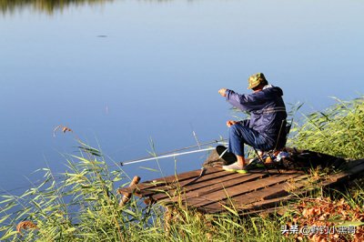 ​鲤鱼喜欢吃什么饵料（专钓鲤鱼的饵料）