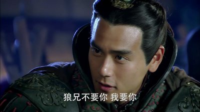 ​卫无忌是霍去病吗（霍去病为什么叫卫无忌）