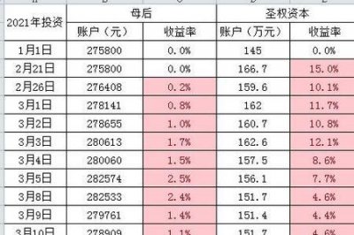 ​资本金收益率指的是什么