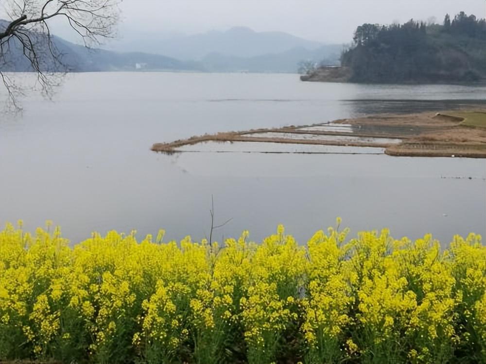 汉中自驾游旅游攻略最佳路线(汉中自驾游这些地方值得一去)