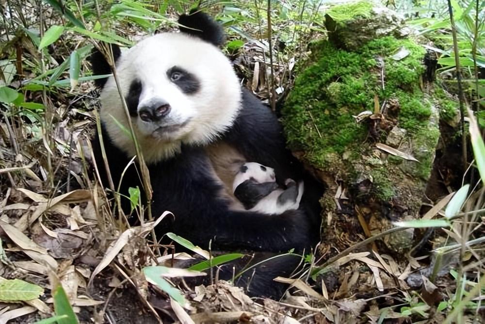 汉中自驾游旅游攻略最佳路线(汉中自驾游这些地方值得一去)