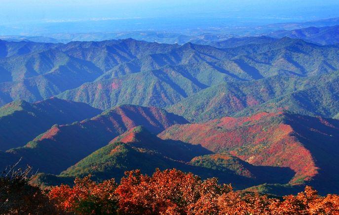 陕州区属于哪个市(河南陕州区属于哪个市)