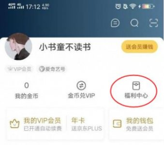 ​爱奇艺vip共享账号(爱奇艺vip激活码大全)