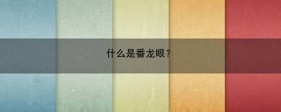 ​什么是番龙眼？(什么是番龙眼)