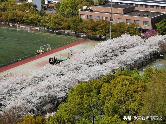 北京航空航天大学和同济大学选哪个大学（北京航空航天大学和同济大学哪个好）(图3)