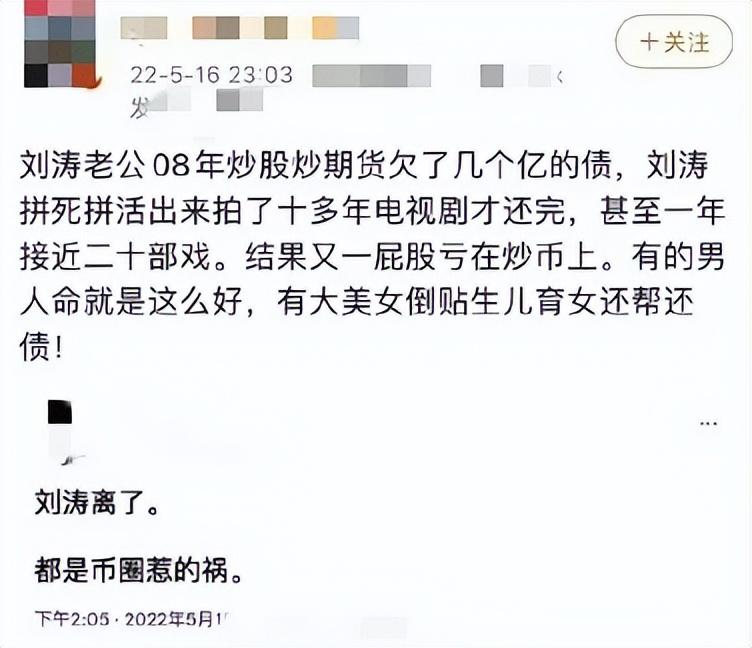 刘涛是谁(演员刘涛：本想做一个贤妻良母，却硬生生被“逼”成了女强人)