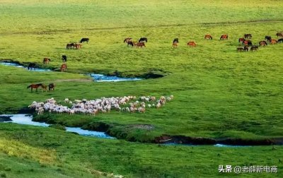 ​围场县属于哪个市(河北围场属于哪个市)