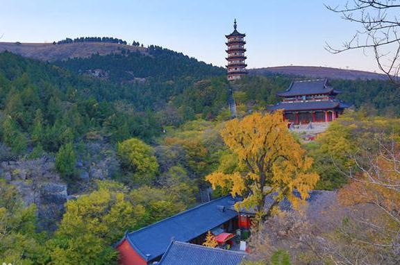 峄城区属于哪个市(山东峄城区属于哪个市)