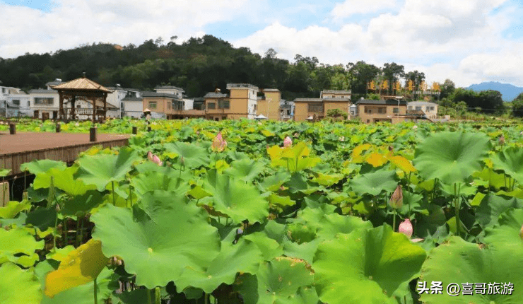 翁源县属于哪个市(广东翁源县属于哪个市)