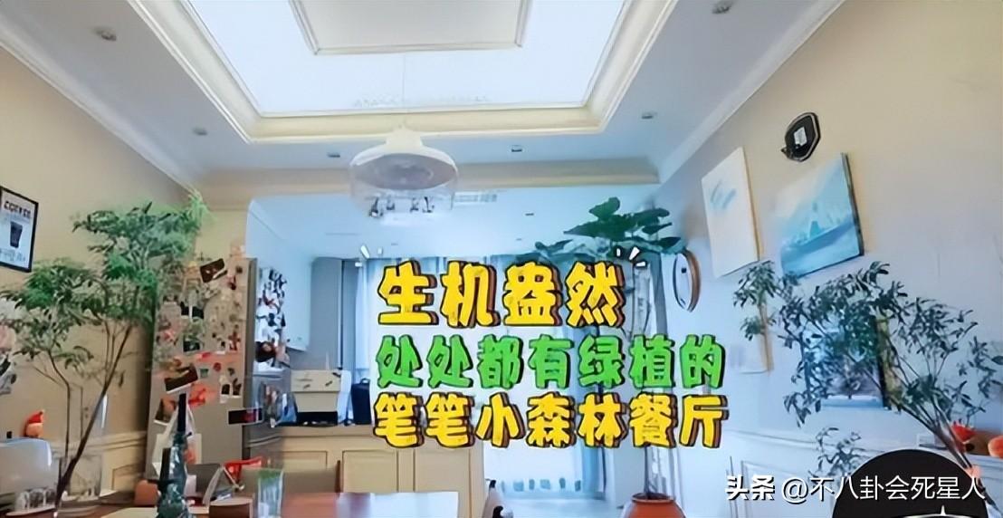 独居15年的周笔畅现状：不恋爱不结婚