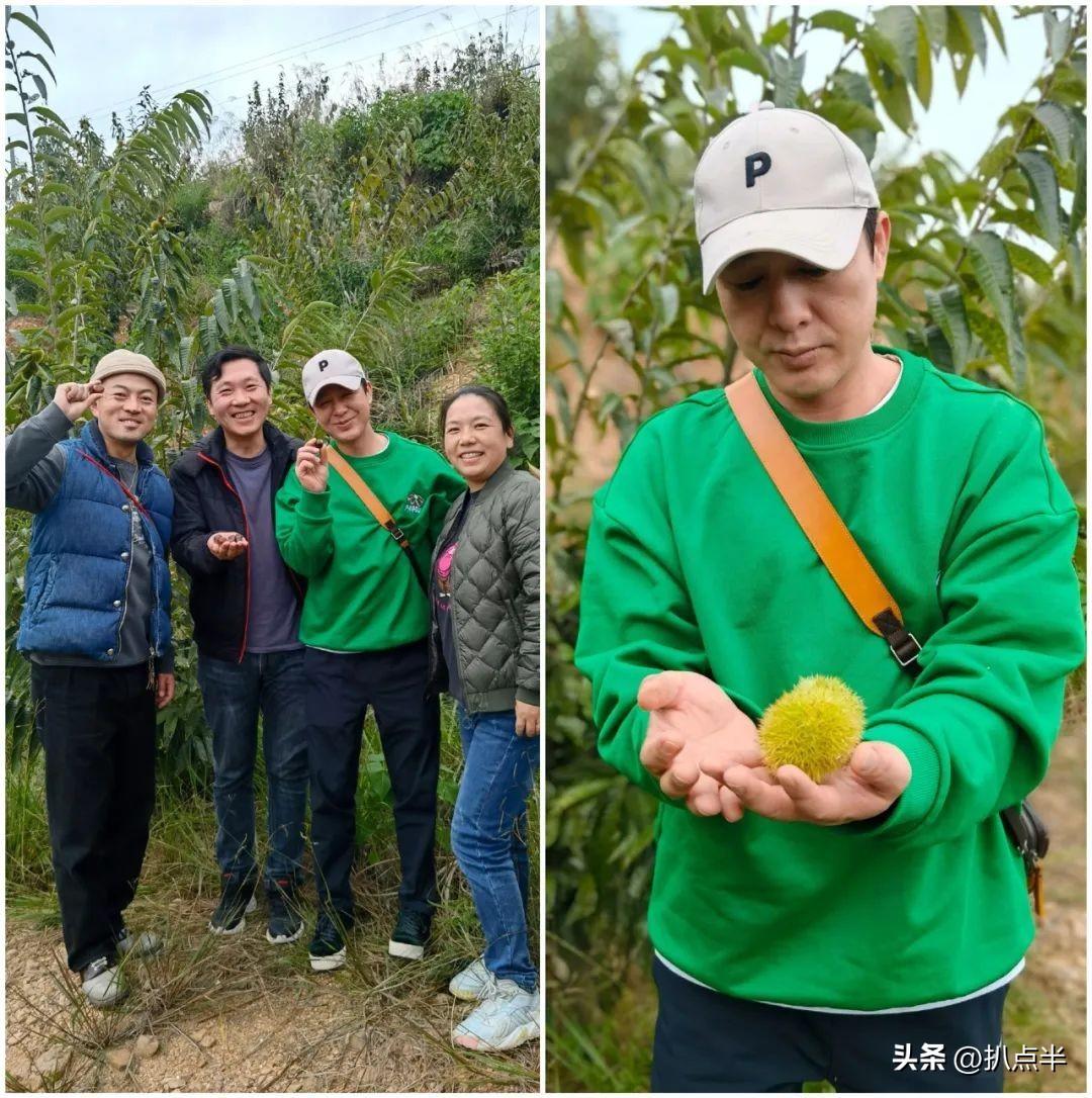 张颂文爆红，并非观众在造神！而是寻找明星身上的“人味儿”