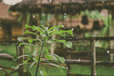 ​天气预报百分比下雨什么意思(天气预报90%的雨是什么意思)