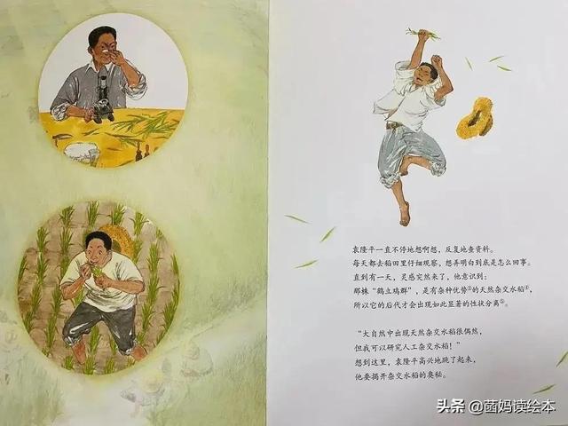 一粒种子改变世界的故事（一粒种子改变世界）(12)