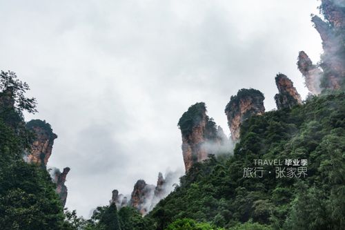 一、天门山、袁家界旅游景点