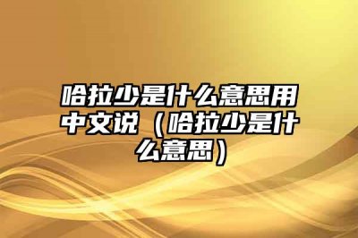 ​哈拉少是什么意思用中文说（哈拉少是什么意思）