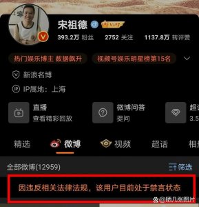 ​宋祖德微博被禁言，网络不是法外之地