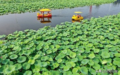 ​今天三个时段沈阳市区有降雨，到这个时间结束