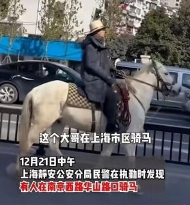 ​男子骑马穿行上海市中心，处罚结果来了