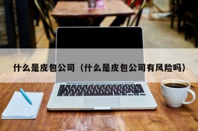 ​什么是皮包公司（什么是皮包公司有风险吗）