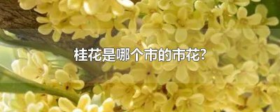 ​桂花是哪个城市的市花 桂花哪个市的市花