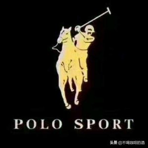 ​polosport是什么牌子()