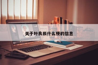 ​关于叶良辰什么梗的信息