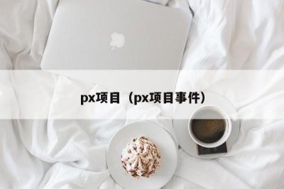 ​px项目（px项目事件）