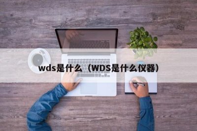 ​wds是什么（WDS是什么仪器）