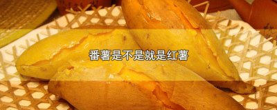 ​红薯是番薯嘛 红薯是番薯么