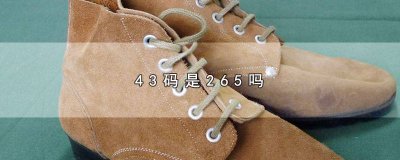 ​265是不是44码 国内43码是275还是265