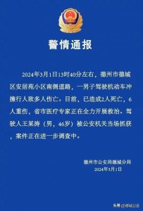 ​山东德州一男子驾驶机动车冲撞行人致2人死亡，6人重伤