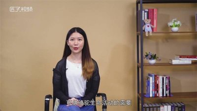 ​骆驼的驼峰是储存什么的?「骆驼的驼峰是储存什么的图片」