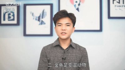 ​金鱼的生活特点是什么 金鱼的生活环境和形态特征和功能