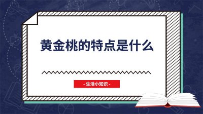 ​黄金桃的特点是什么 黄金黄桃有哪些特点