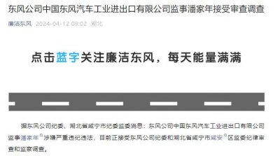 ​潘家年，被查！中央巡视后，这家央企系统多名干部落马