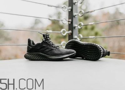 ​adidas alphabounce阿尔法小椰子皮质版本什么时候发售？