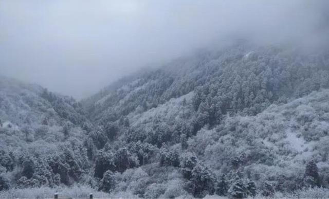 旅游成都最受欢迎的十个景区:杜甫草堂真是杜甫住过的地方吗  1